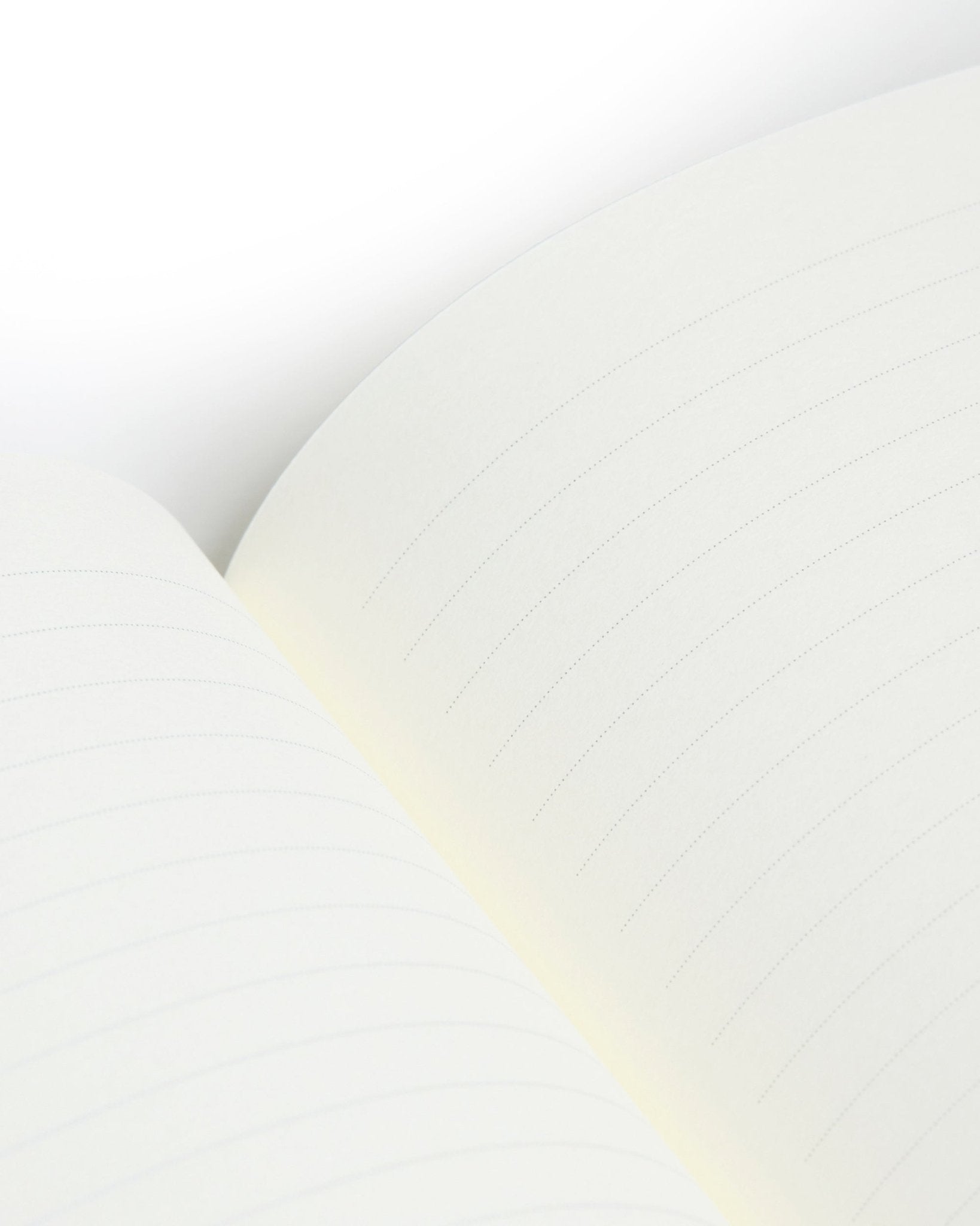 Trunk Lined Notebook: Large - Trunk Clothiers