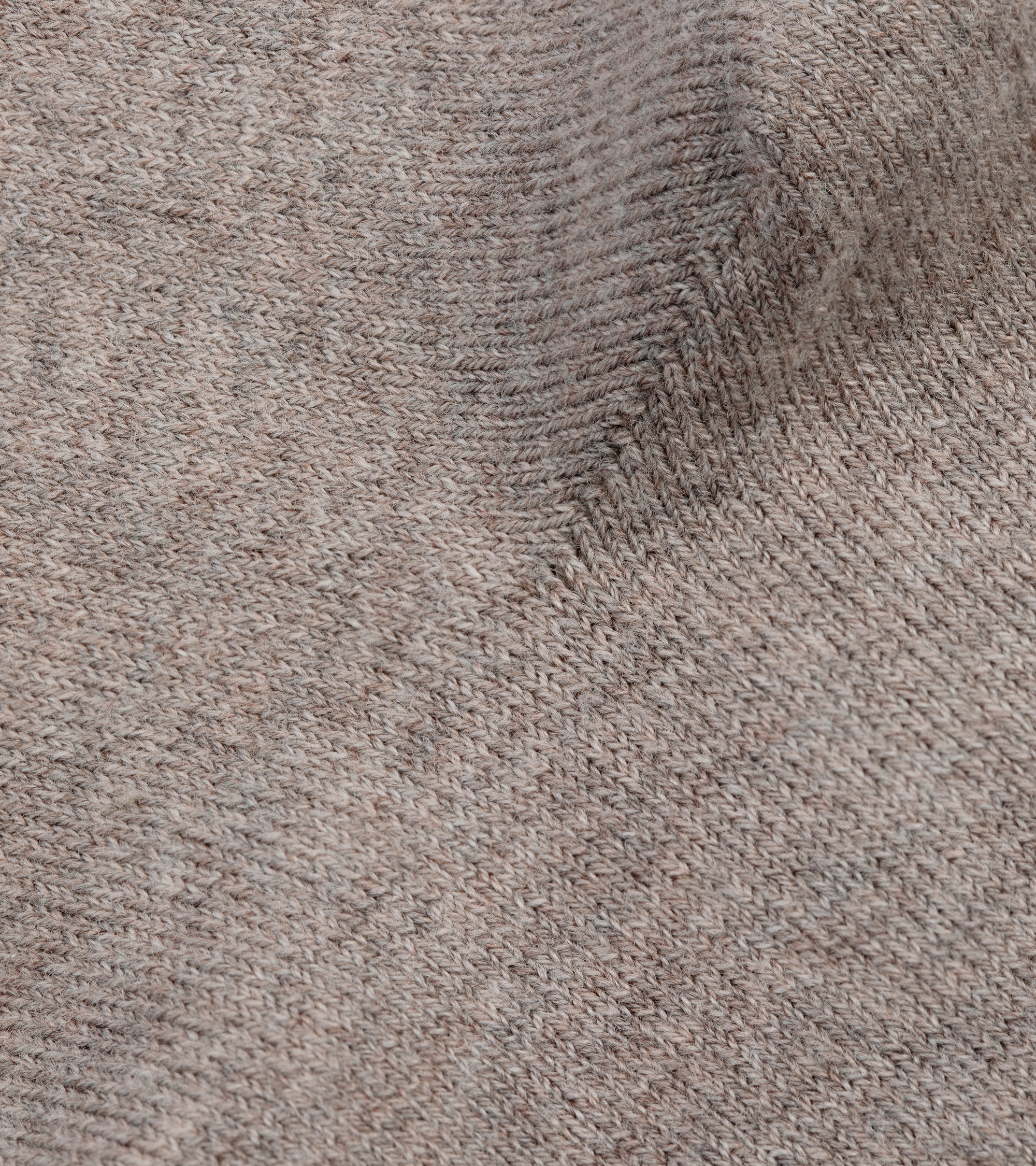 Trunk Plain Cotton Socks: Natural