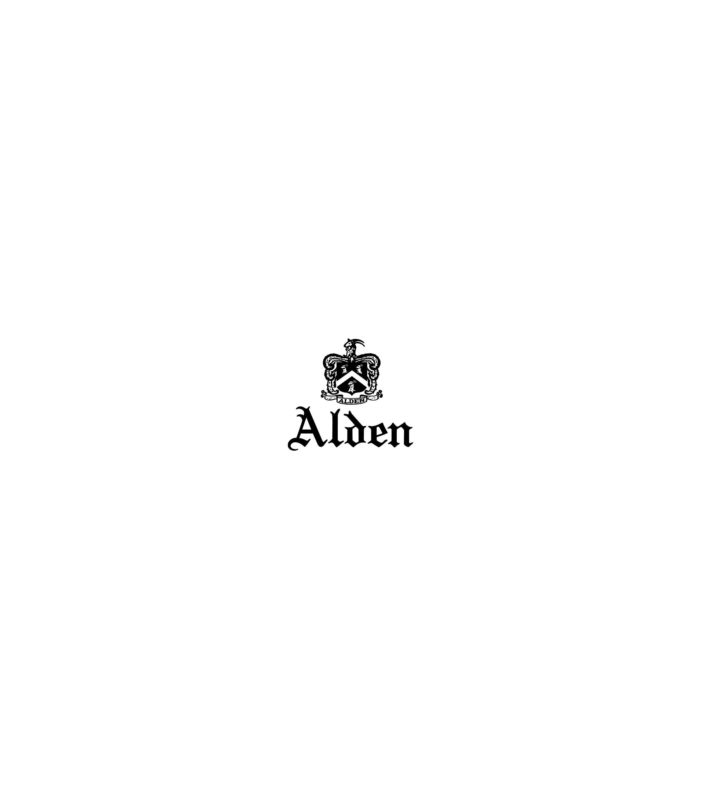 Alden for Trunk Suede Norwegian Split Toe Blucher Shoe: Chocolate 22462